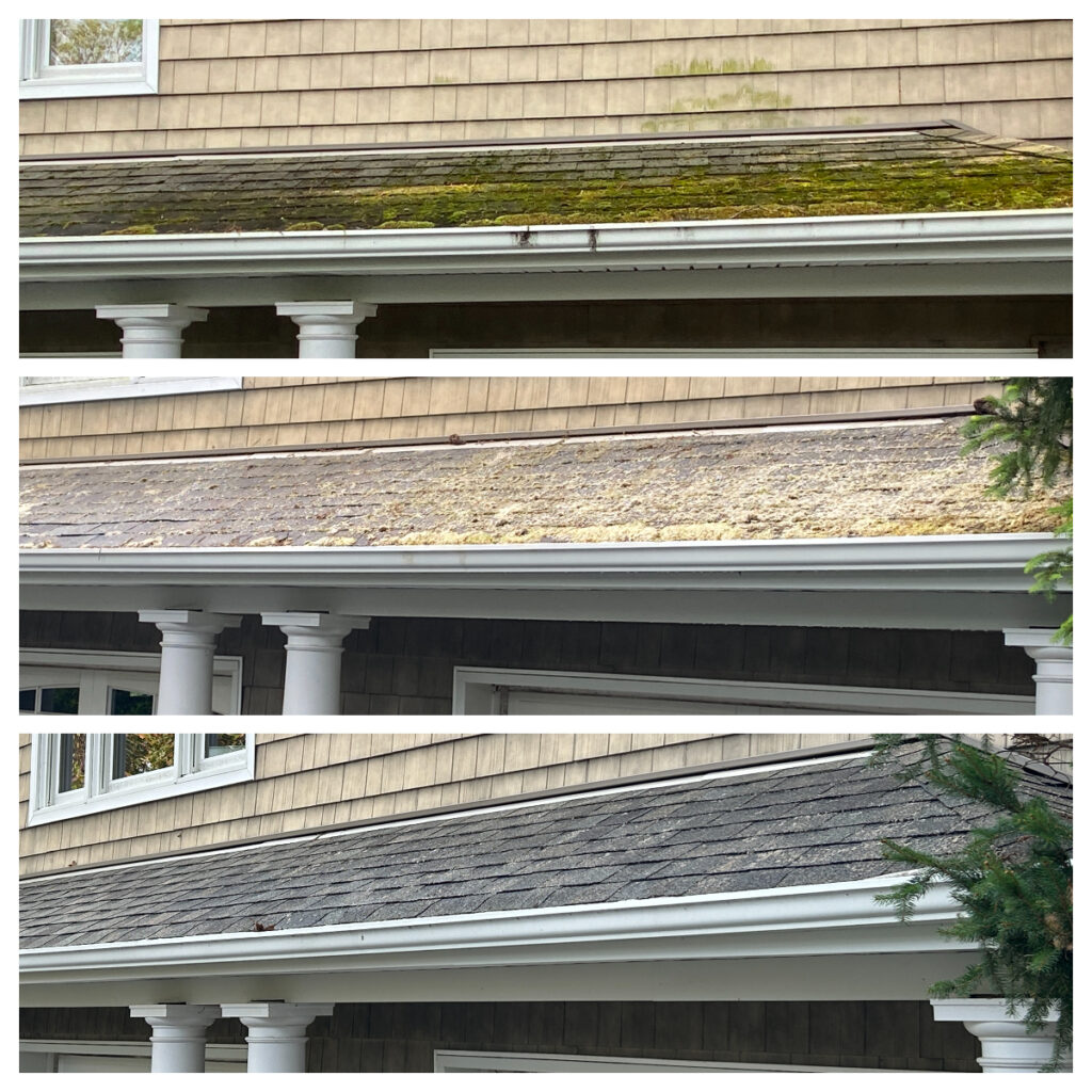 Power Washing, Pressure Washing, Roof Cleaning,